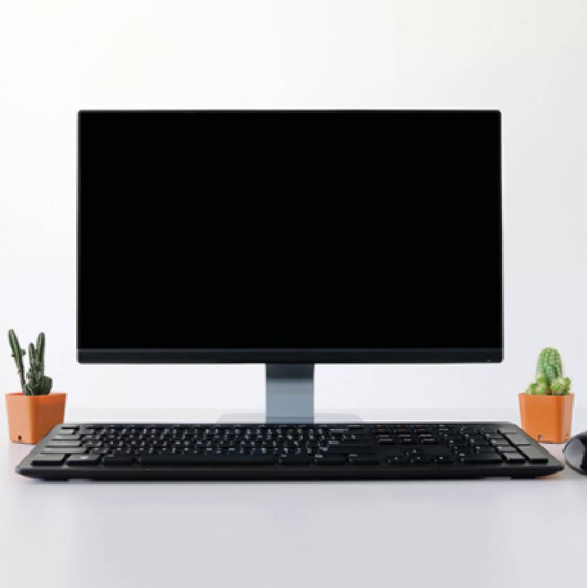 A computer with a keyboard with two succulents on either side of it