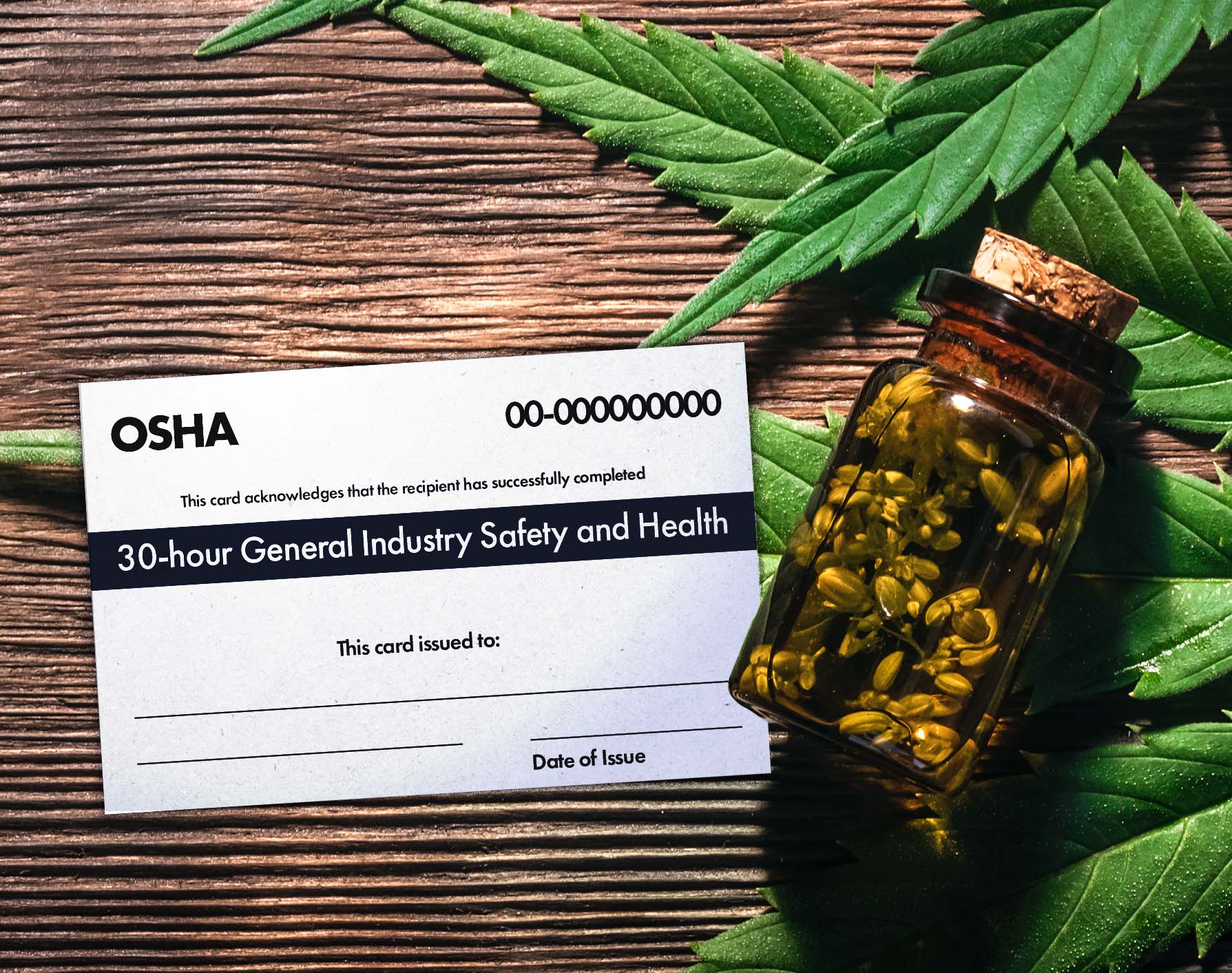 A bottle of cannabis buds resting on a cannabis leaf with an OSHA certificate to its left
