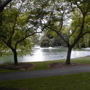 View of one of the ponds at Sonoma State
