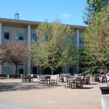 View of Stevenson Hall from the Quad